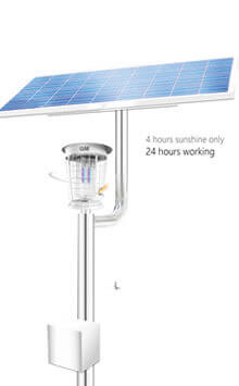 �W�ŤӶ����~���A�O,Oasis Solar-Pro Mosquito Trap