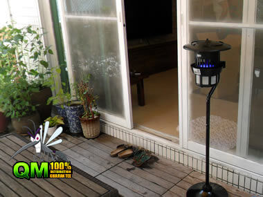 MOSQUITO KILLER TRAP ��~�q�A�� -���A